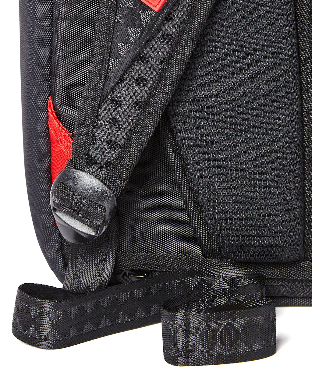 SKYBORNE DLXV BACKPACK