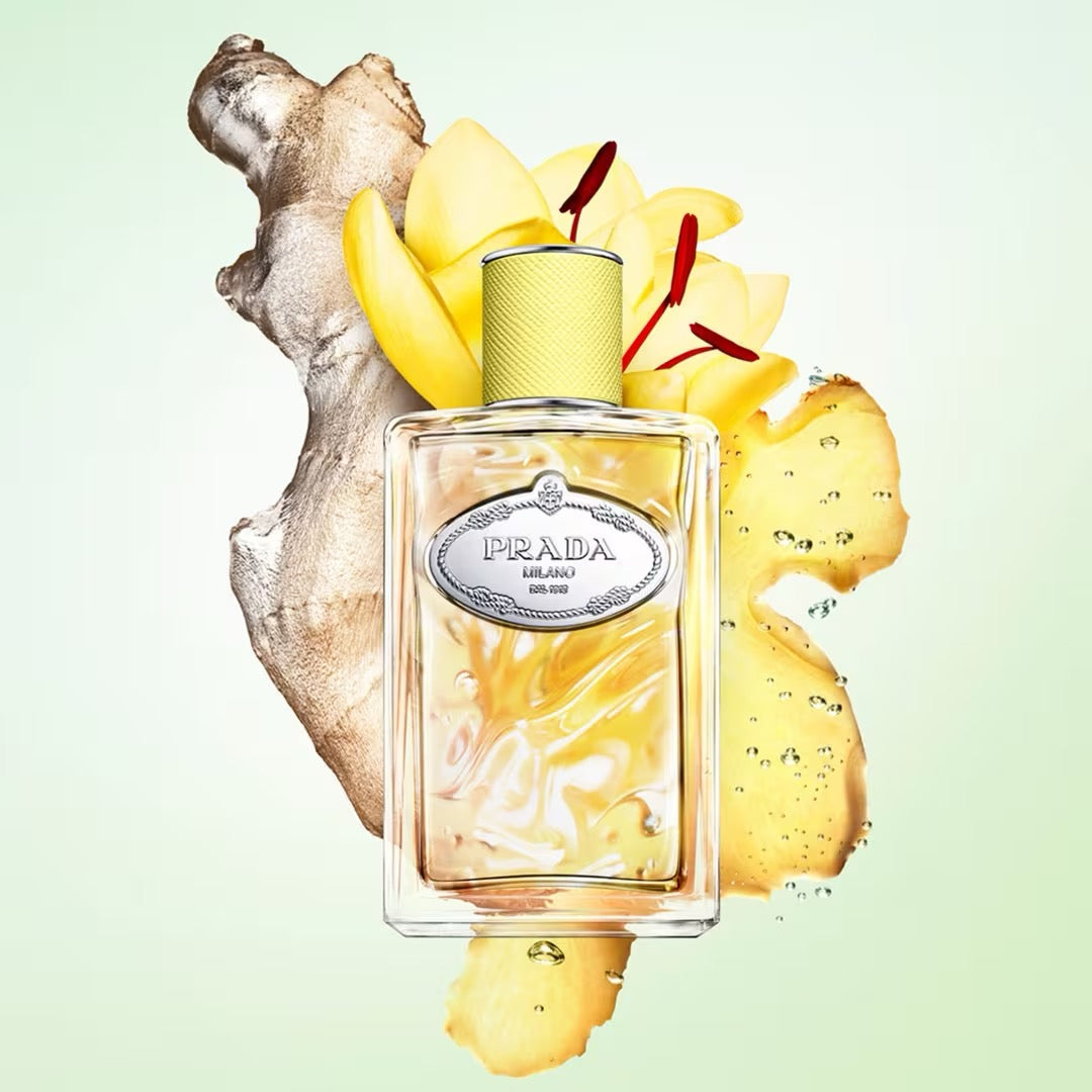 Prada Infusion de Gingembre Eau De Parfum 3.3 oz