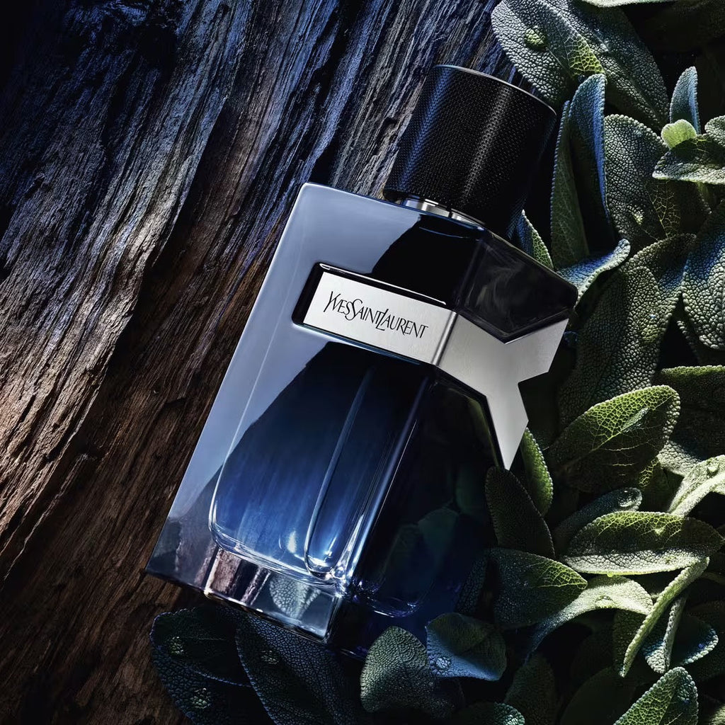 Saint Laurent Y Eau de Parfum 3.3 oz