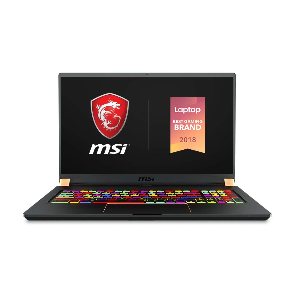 MSI GS75 Stealth-204 17.3" Notebook - i7-8750H -RTX 2060- 16 GB RAM - 256 GB SSD (GS75204)