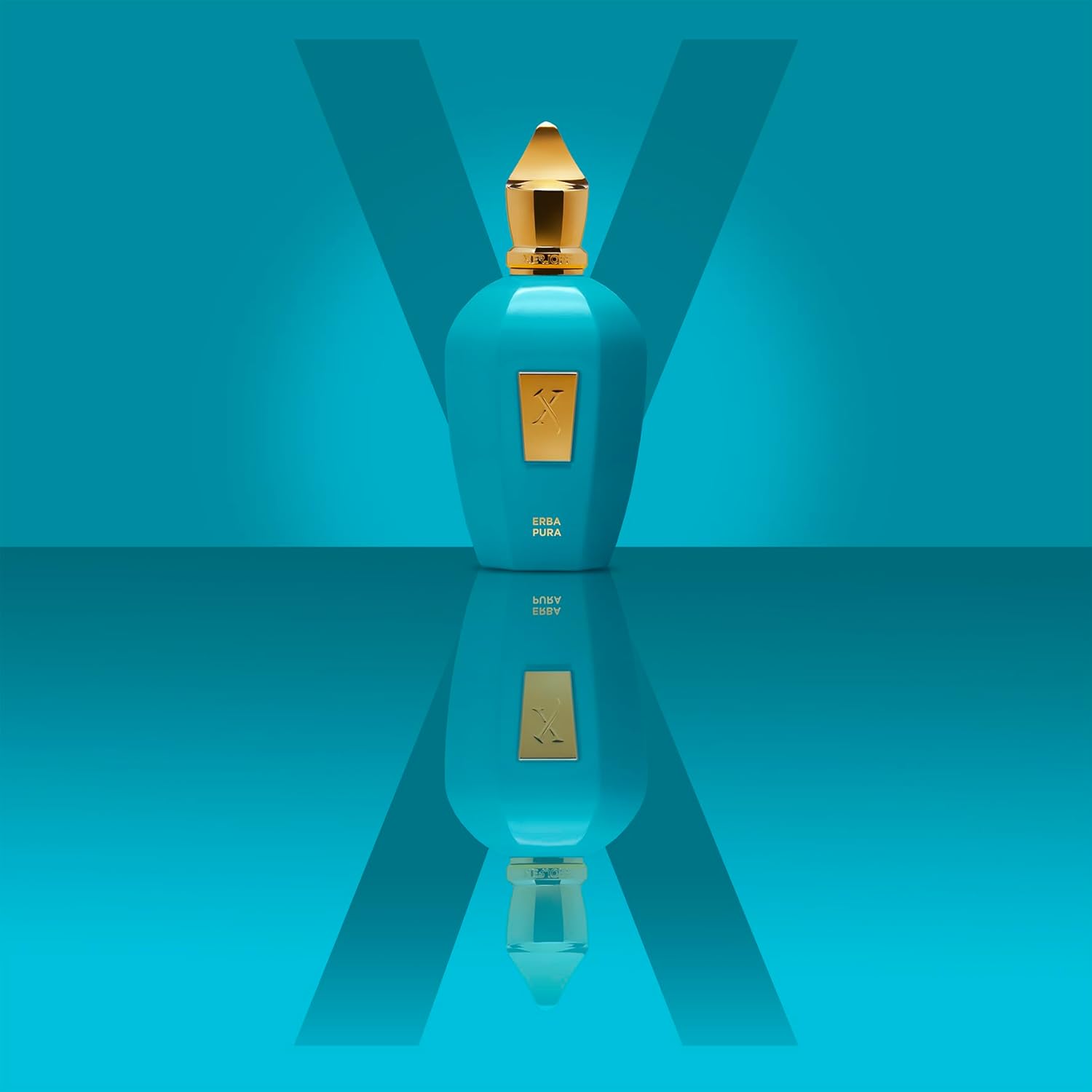 Xerjoff Erba Pura Eau de Parfum 100ml