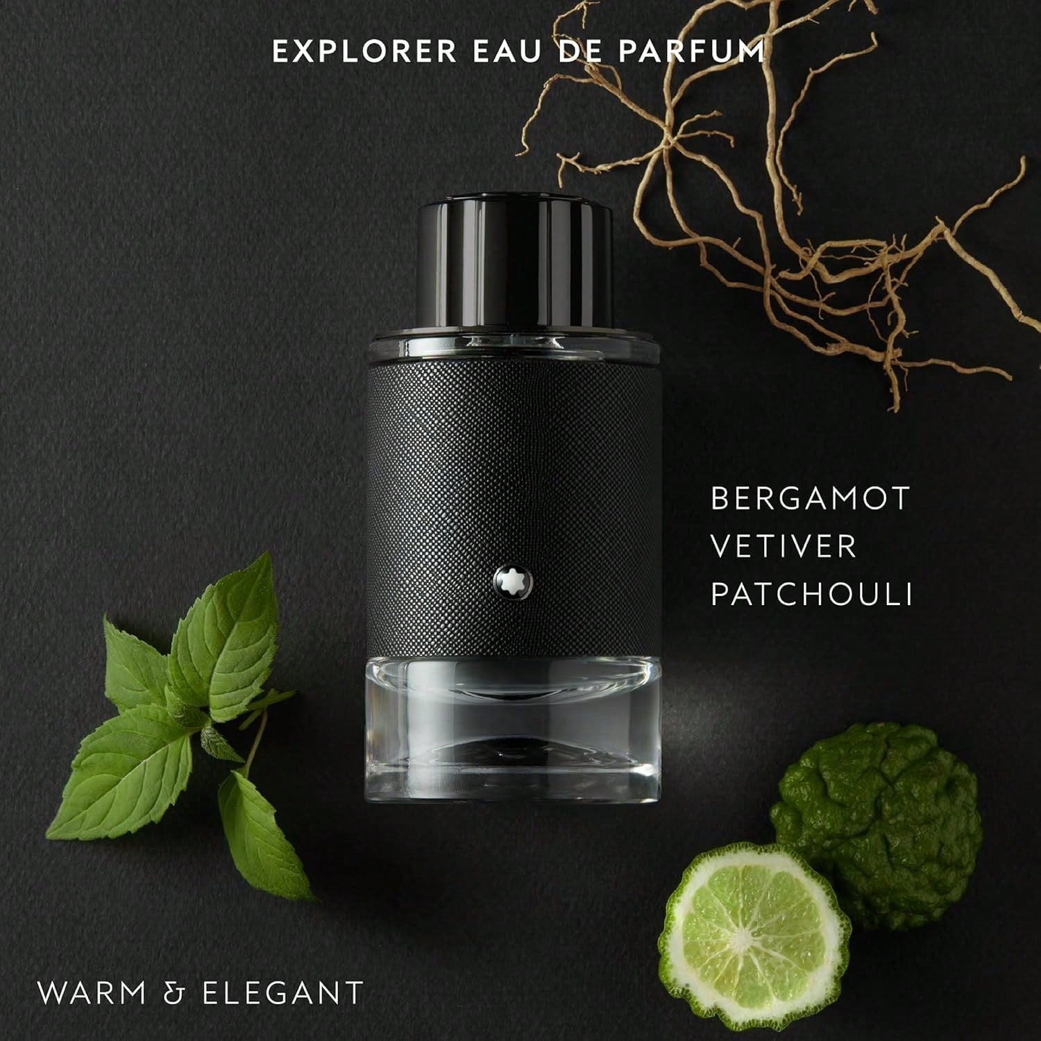 Montblanc Explorer Eau de Parfum - Men's Fragrance - Woody Leathery Aromatic - With notes of Bergamot, Vetiver & Patchouli - 100ml 3.3floz